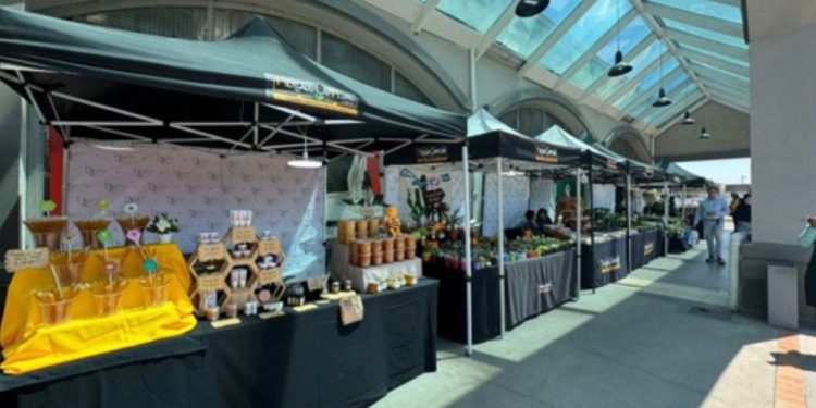 Mercado Campesino vuelve a Mall Curicó para poner en valor productos típicos de la zona