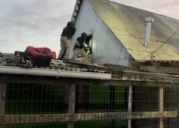 PDI desarticuló dos peligrosas bandas criminales: 11 detenidos