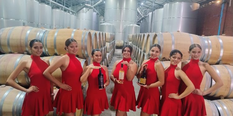 Este sábado se realiza el concurso Miss Pelarco 2026: Anima José Antonio Neme