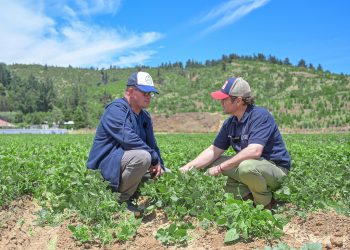 Gobernador Álvarez-Salamanca visita a usuarios de programa que beneficia a 300 emprendedores agrícolas