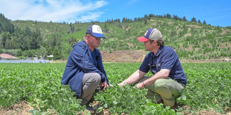 Gobernador Álvarez-Salamanca visita a usuarios de programa que beneficia a 300 emprendedores agrícolas