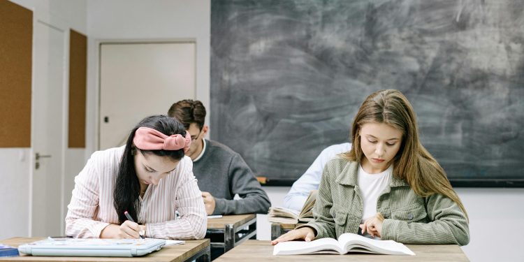 Expertos entregan claves para enfrentar el primer año de universidad