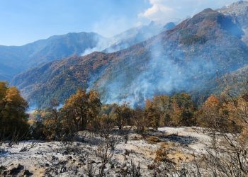Gobernador en conjunto con los 20 consejeros regionales solicitan mayores recursos al Gobierno Nacional para el combate de incendio en el sector Cajón de Pejerrey