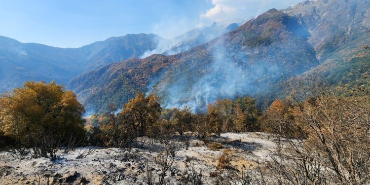Gobernador en conjunto con los 20 consejeros regionales solicitan mayores recursos al Gobierno Nacional para el combate de incendio en el sector Cajón de Pejerrey