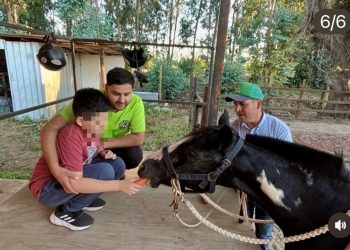Hipoterapia Colbún  hará beneficio para conseguir recursos