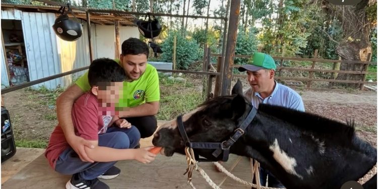 Hipoterapia Colbún  hará beneficio para conseguir recursos