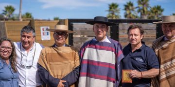 Teno vibró con el Clasificatorio Regional FENARO 2026 respaldado por el Gobierno del Maule