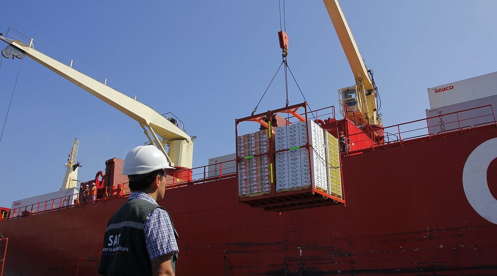 Chile y México dan un paso histórico y fortalecen su comercio bilateral con certificación zoosanitaria 100% electrónica