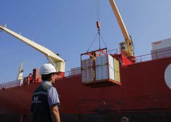 Chile y México dan un paso histórico y fortalecen su comercio bilateral con certificación zoosanitaria 100% electrónica