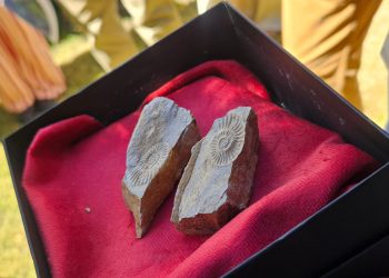 Coordinan resguardo de nuevo patrimonio paleontológico en el Maule