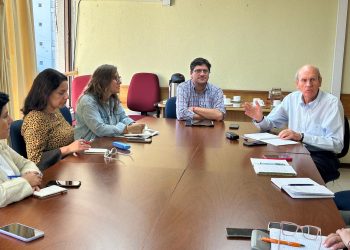 Mesa avícola del Maule llama a reforzar medidas preventivas por Influenza Aviar