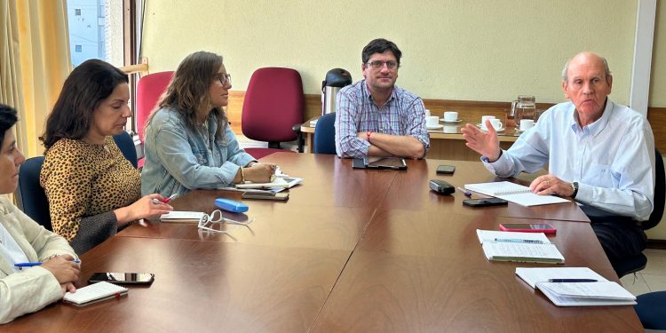 Mesa avícola del Maule llama a reforzar medidas preventivas por Influenza Aviar