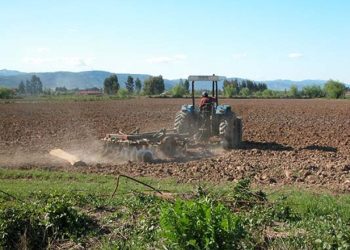 Una agenda agrícola para el Maule y Chile