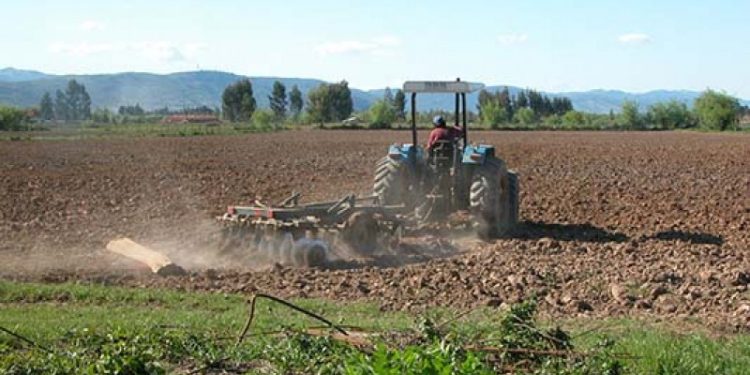 Una agenda agrícola para el Maule y Chile