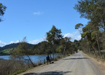 Segundo Tribunal Ambiental confirma que evaluación del proyecto vial en la Reserva Nacional Laguna Torca consideró adecuadamente las observaciones ciudadanas
