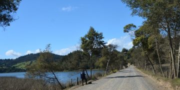 Segundo Tribunal Ambiental confirma que evaluación del proyecto vial en la Reserva Nacional Laguna Torca consideró adecuadamente las observaciones ciudadanas