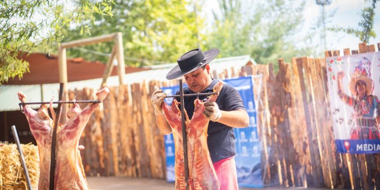 San Clemente lanza Expo Pehuenche 2026: Sepa cuándo se realizará