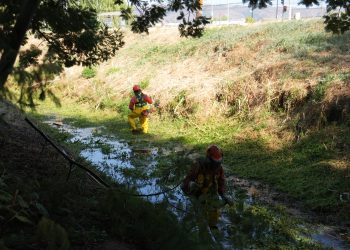 Municipalidad de Talca intensifica labores preventivas durante la presente jornada