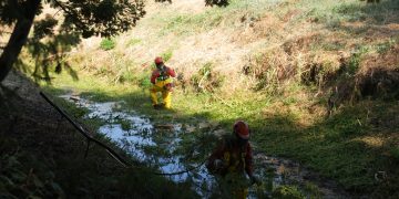 Municipalidad de Talca intensifica labores preventivas durante la presente jornada
