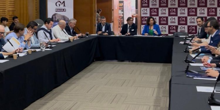 Gobierno Regional impulsa taller para avanzar en estudio de posible Área Metropolitana del Maule