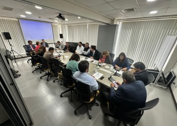 Delegado presidencial asiste a Comisión de Seguridad del Consejo Regional: “Tenemos el compromiso transversal de avanzar”
