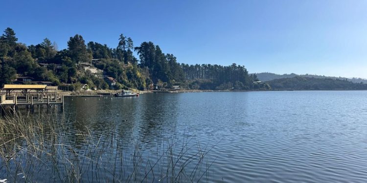 Medio Ambiente busca recuperar Lago Vichuquén: Ministra Toledo inicia proceso para avanzar en su descontaminación