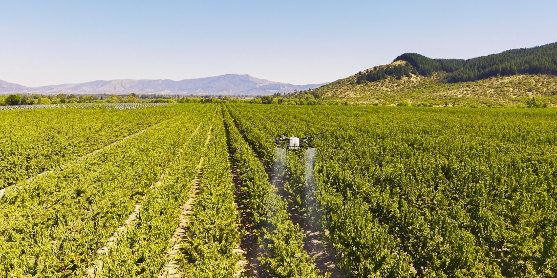 Hongos “buenos” vs. Hongos “malos”: el mundo agro nacional se prepara para la temporada otoño-invierno