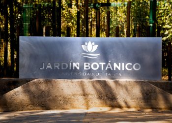 Cierran jardín botánico de la Universidad de Talca por casos de gripe aviar