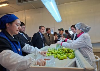 Subsecretario de Agricultura visita sitio de inspección fitosanitaria de Teno para verificar exportaciones hortofrutícolas a EE.UU.