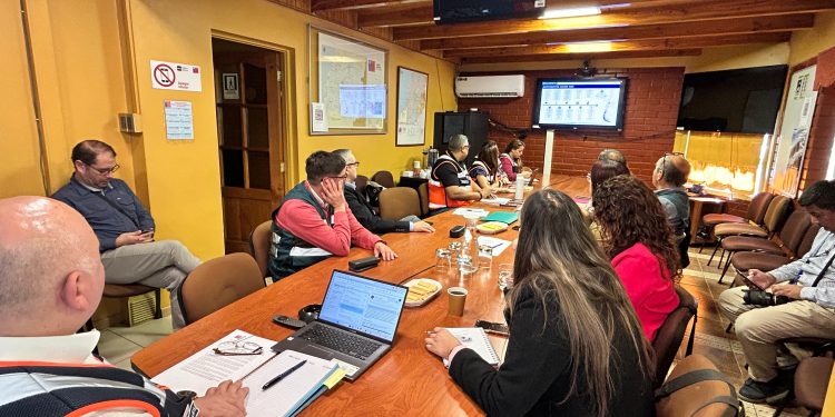 Llaman a hacer denuncias tempranas a tenedores de aves en el Maule por influenza aviar 