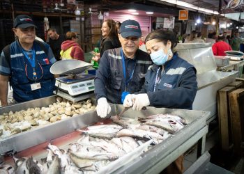 Seremi de Salud fiscaliza venta de pescados y mariscos en Curicó previo a Semana Santa