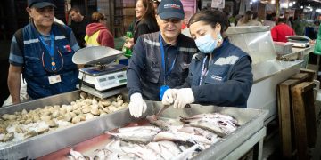 Seremi de Salud fiscaliza venta de pescados y mariscos en Curicó previo a Semana Santa