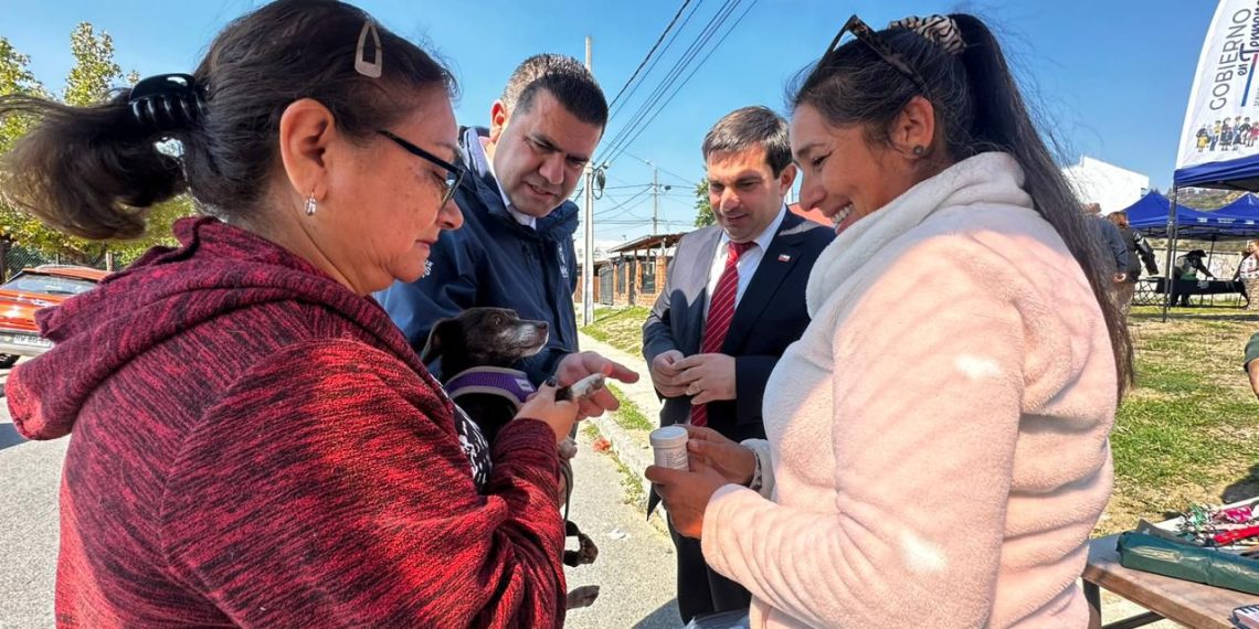 Gobierno en Terreno concluye exitoso despliegue en Maule: Casi 100 atenciones y 270 esterilizaciones de mascotas