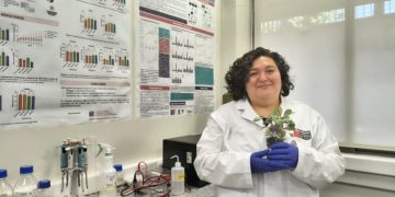 Investigadores de la U. Autónoma desarrollan tratamiento postcosecha para mantener firmeza y propiedades antioxidantes de la frutilla