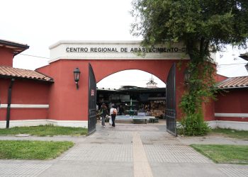 Talca se prepara para Semana Santa con horarios especiales en el  CREA y sus principales servicios