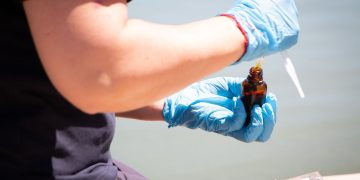 Seremi de Salud extiende declaración de Zona de Riesgo Sanitario en Lago Vichuquén