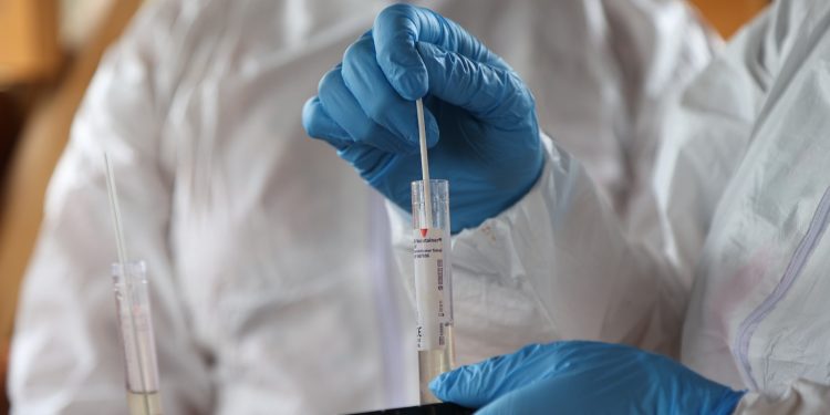 SAG logra en tiempo récord la reapertura de los principales mercados de productos avícolas tras foco de influenza aviar