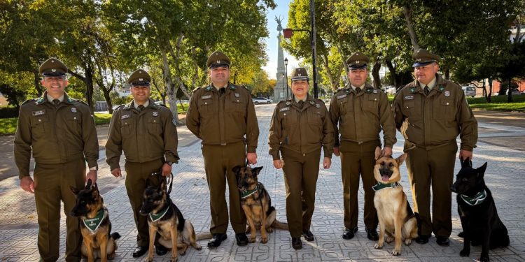 Talca se prepara para una caminata canina que promueve la tenencia responsable en el mes aniversario de Carabineros