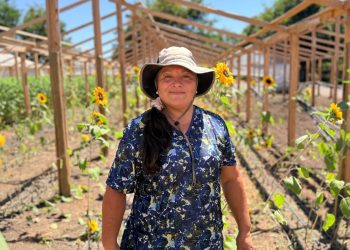 Comisión Nacional de Riego abrió postulaciones para curso gratuito de riego fotovoltaico destinado a mujeres agricultoras