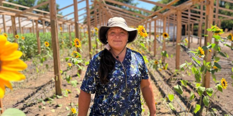 Comisión Nacional de Riego abrió postulaciones para curso gratuito de riego fotovoltaico destinado a mujeres agricultoras