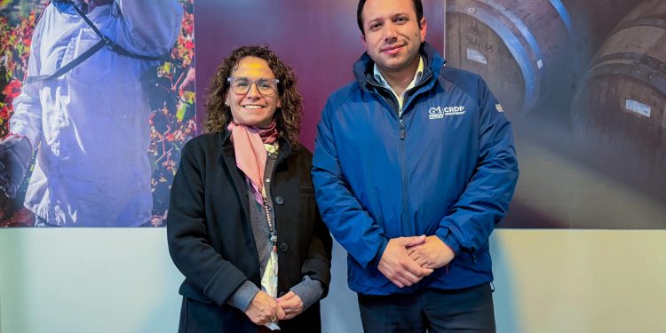 CRDP Maule y Sernatur refuerzan coordinación para impulsar el turismo regional