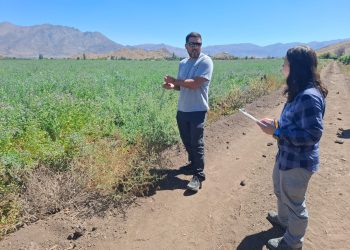 Riego de precisión y drones: salto tecnológico para una ganadería más competitiva