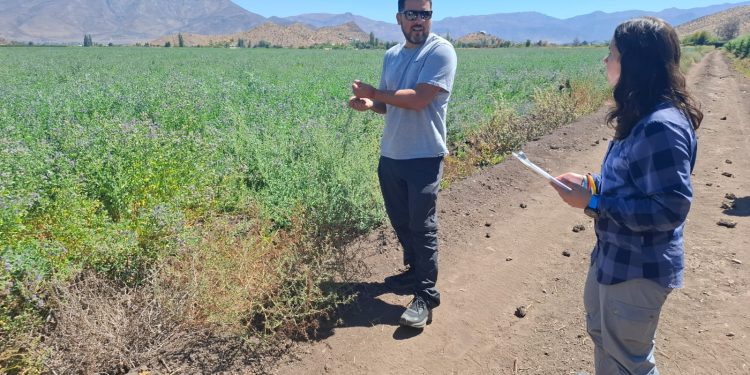 Riego de precisión y drones: salto tecnológico para una ganadería más competitiva