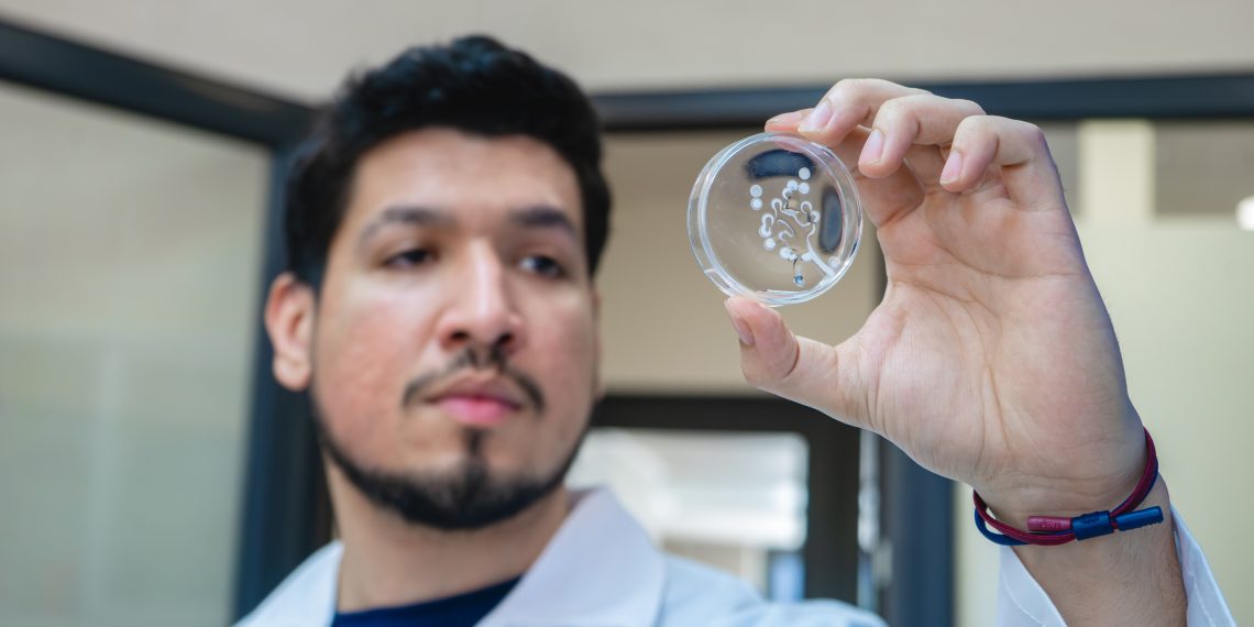 Investigadores crean hidrogel a base de veneno de avispa que cura lesiones de pie diabético