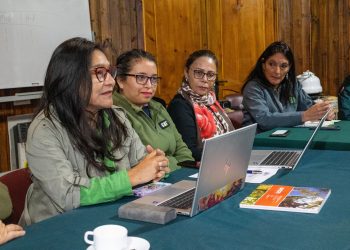 Proyecto +Bosques alcanza un 96,6% de avance en el Maule y proyecta cierre con foco en equidad territorial