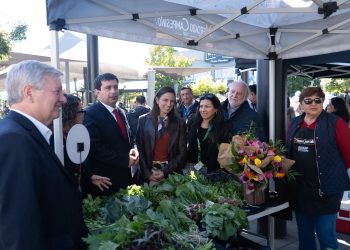 Curicó celebra Día de la Cocina Chilena con foco en la identidad y los productos del Maule