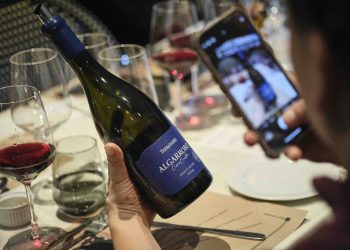 TerraNoble presenta Algarrobo Cero Cuatro en una noche marcada por el origen, la precisión y el encuentro