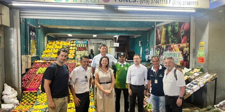 ProChile impulsa apertura del mercado brasileño para cerezas chilenas tras exitosa participación en Fruit Attraction Brasil