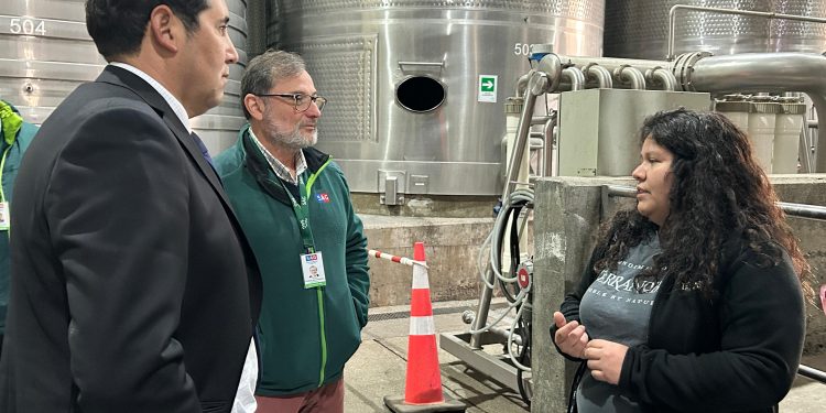 Seremi de Agricultura participa en fiscalización SAG a bodega elaboradora de vino