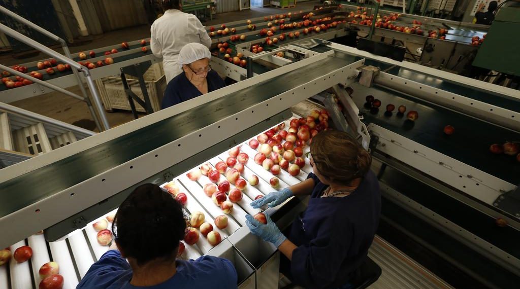 Chile será el primer país del mundo con certificación fitosanitaria 100% digital con China